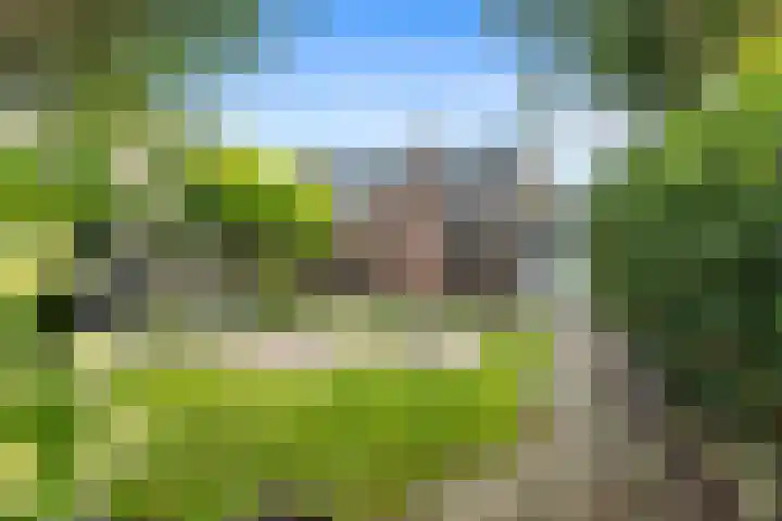 De Reede 97 Veendam thumbnail 5