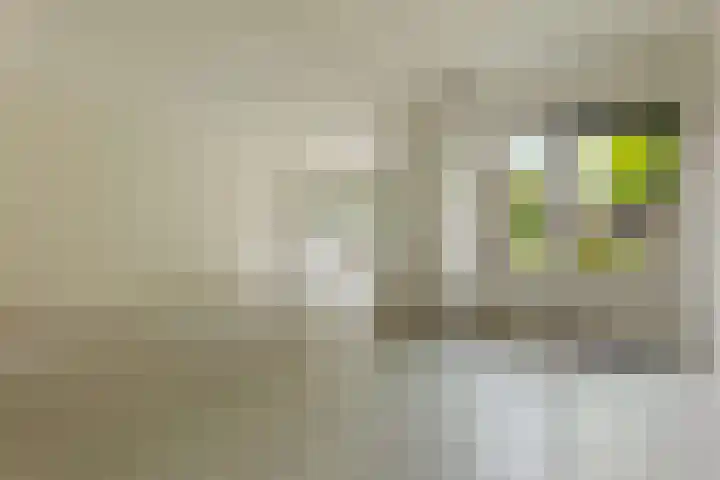 De Reede 97 Veendam thumbnail 7