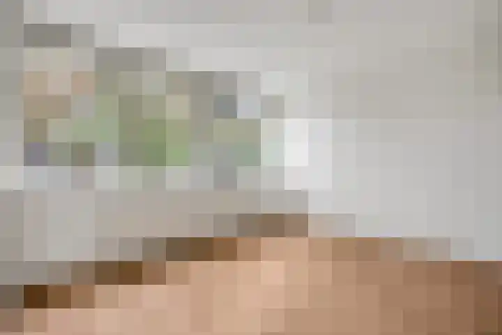 de Reehorst 45 Amerongen thumbnail 11