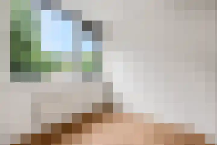 de Reehorst 45 Amerongen thumbnail 15