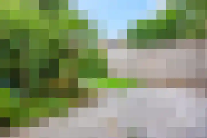 de Reehorst 45 Amerongen thumbnail 23