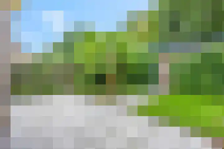 de Reehorst 45 Amerongen thumbnail 24