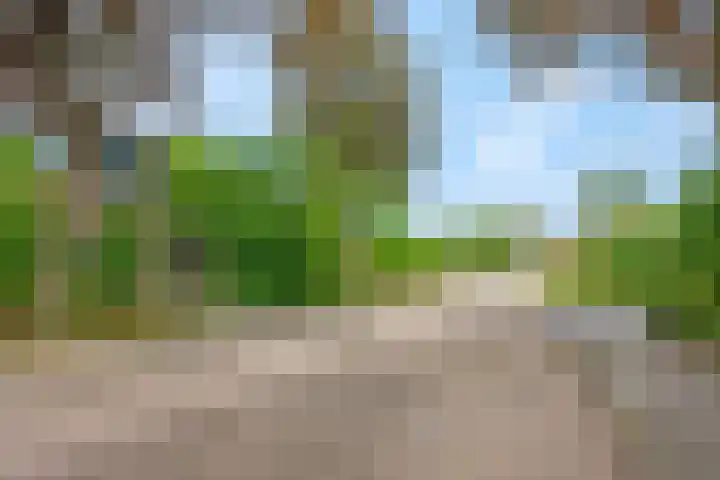 de Reehorst 45 Amerongen thumbnail 33
