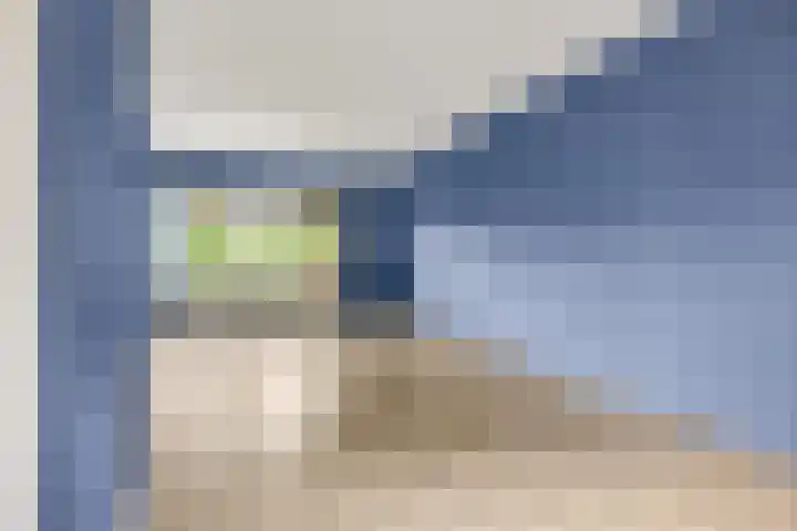 de Reehorst 45 Amerongen thumbnail 5