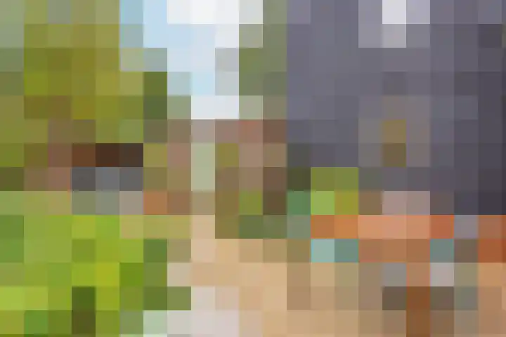 de Reehorst 5 Amerongen thumbnail 20