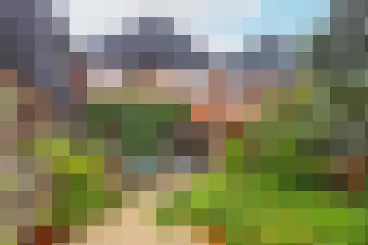de Reehorst 5 Amerongen thumbnail 23
