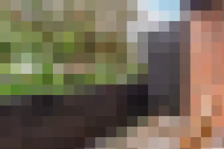 de Reehorst 5 Amerongen thumbnail 28