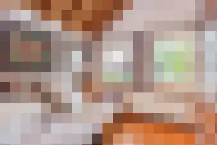 de Reehorst 5 Amerongen thumbnail 30