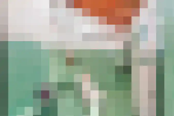 de Reehorst 5 Amerongen thumbnail 37
