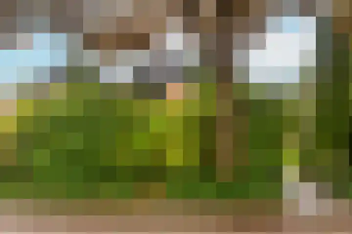 de Reehorst 5 Amerongen thumbnail 40