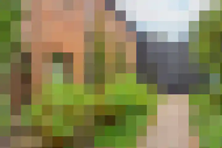 de Reehorst 5 Amerongen thumbnail 41