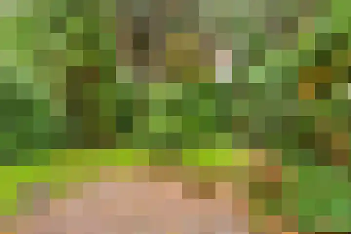 de Reehorst 5 Amerongen thumbnail 42