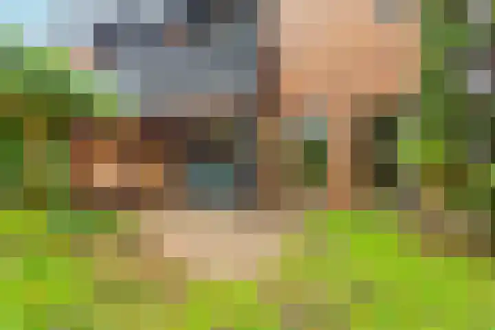 de Reehorst 5 Amerongen thumbnail 44