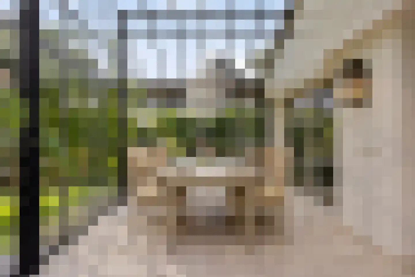 De Reek 5 Veldhoven thumbnail 17
