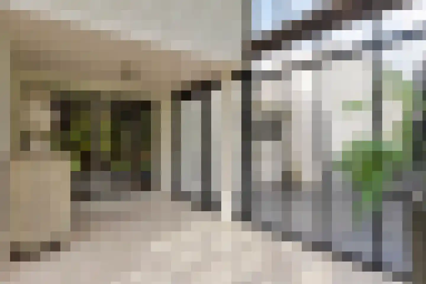 De Reek 5 Veldhoven thumbnail 18