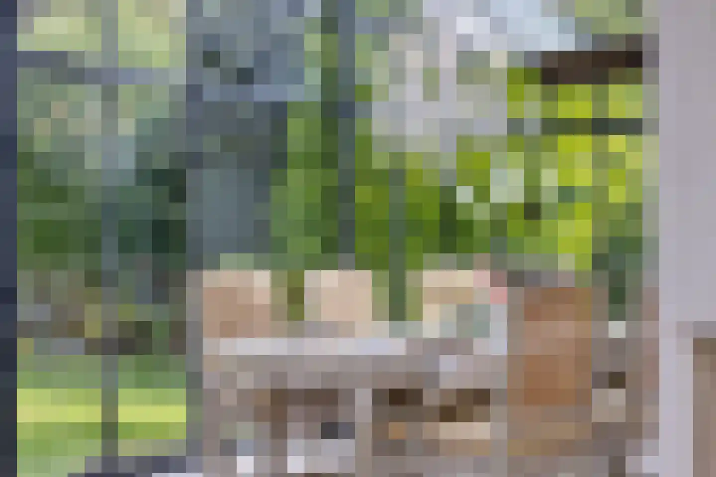 De Reek 5 Veldhoven thumbnail 19