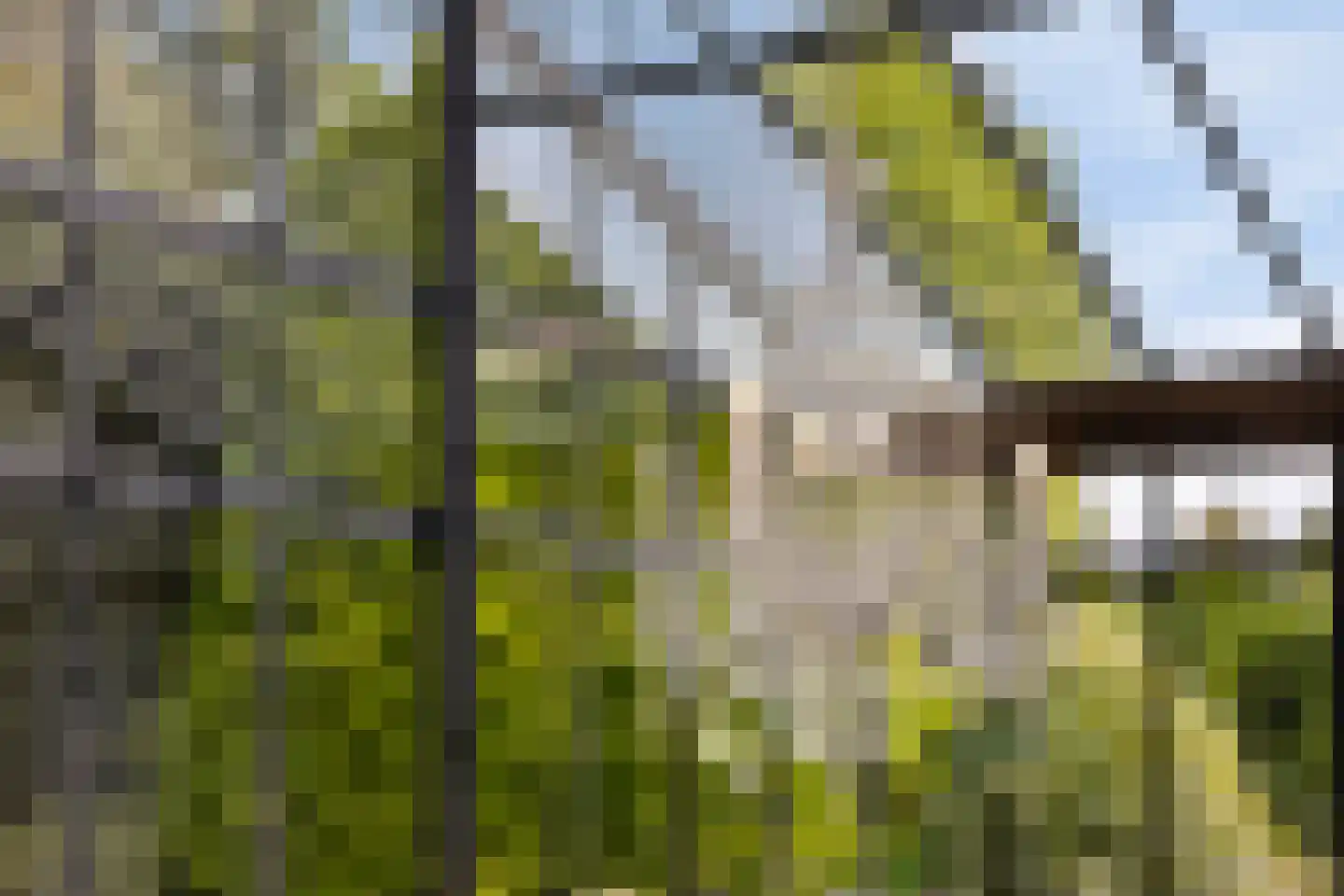 De Reek 5 Veldhoven thumbnail 20