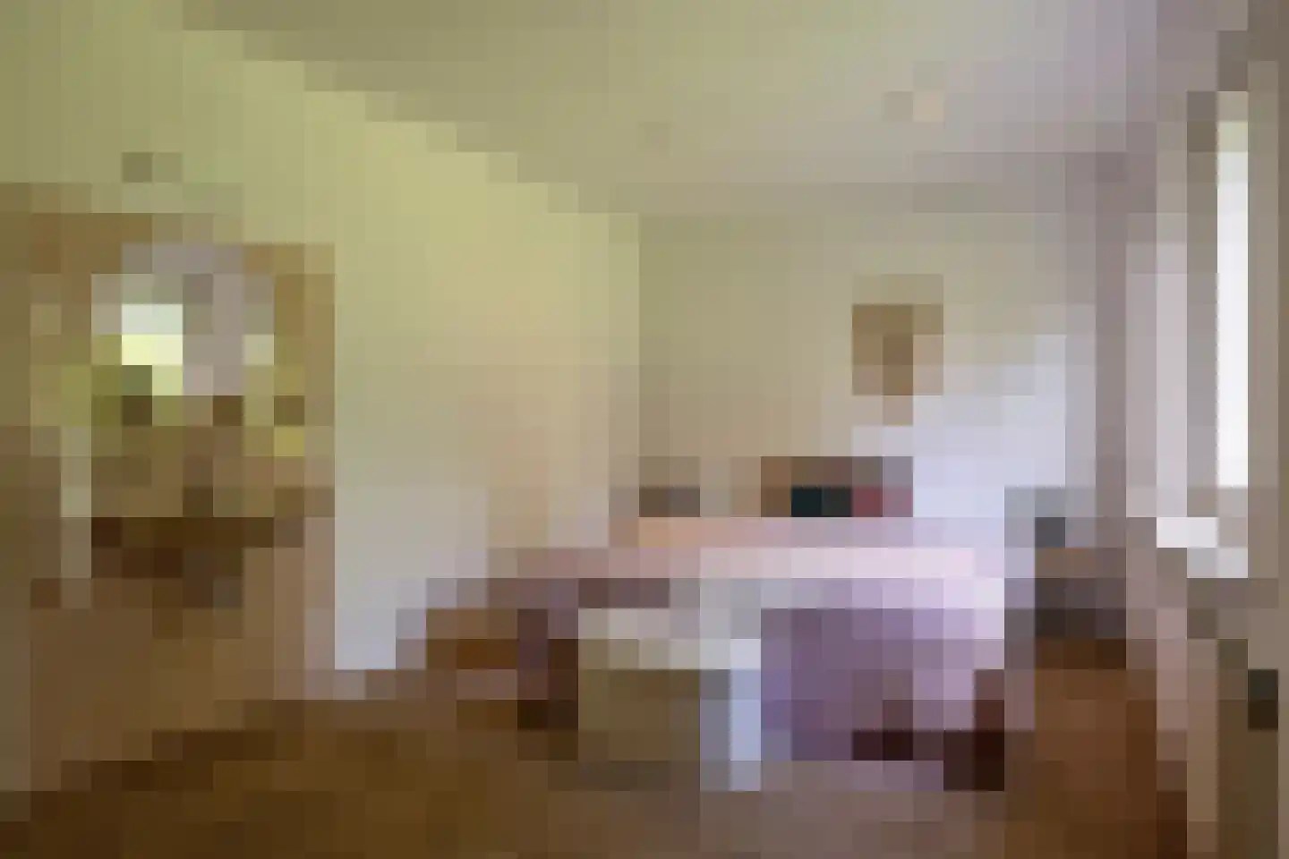 De Reek 5 Veldhoven thumbnail 31