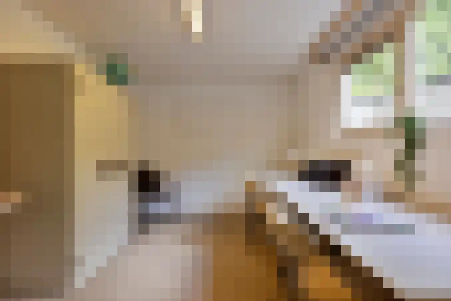 De Reek 5 Veldhoven thumbnail 35