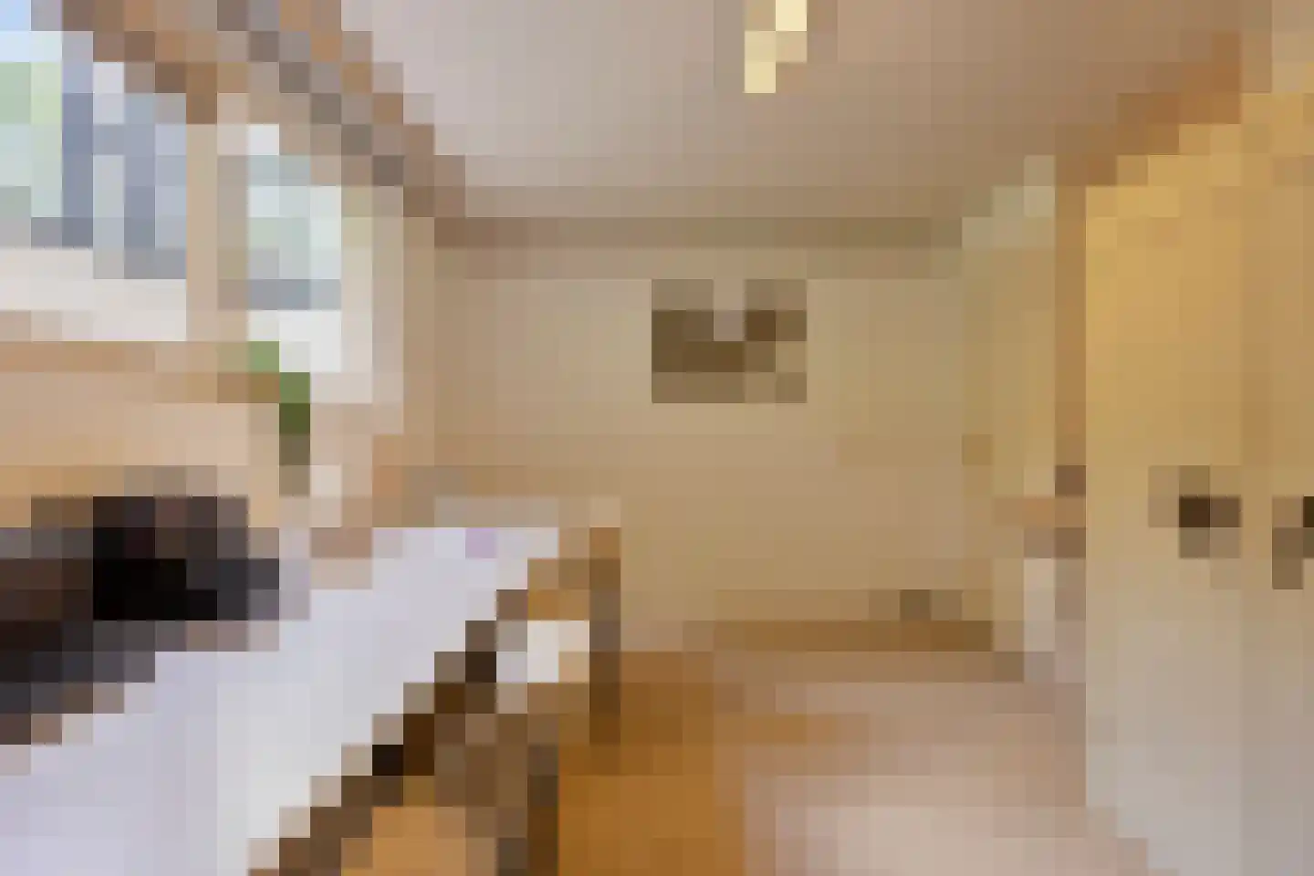 De Reek 5 Veldhoven thumbnail 36