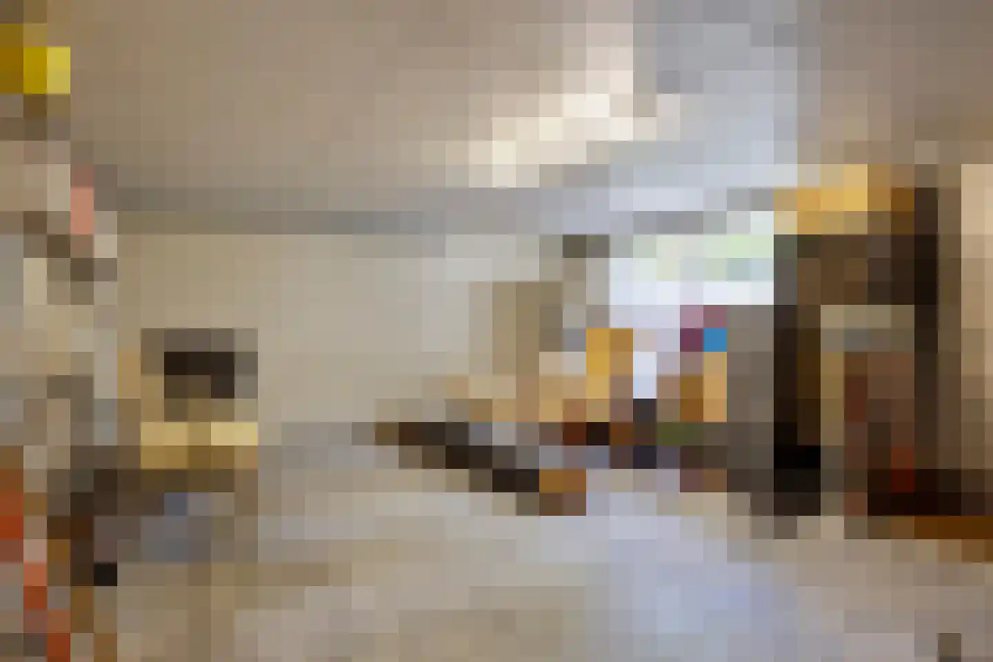 De Reek 5 Veldhoven thumbnail 37