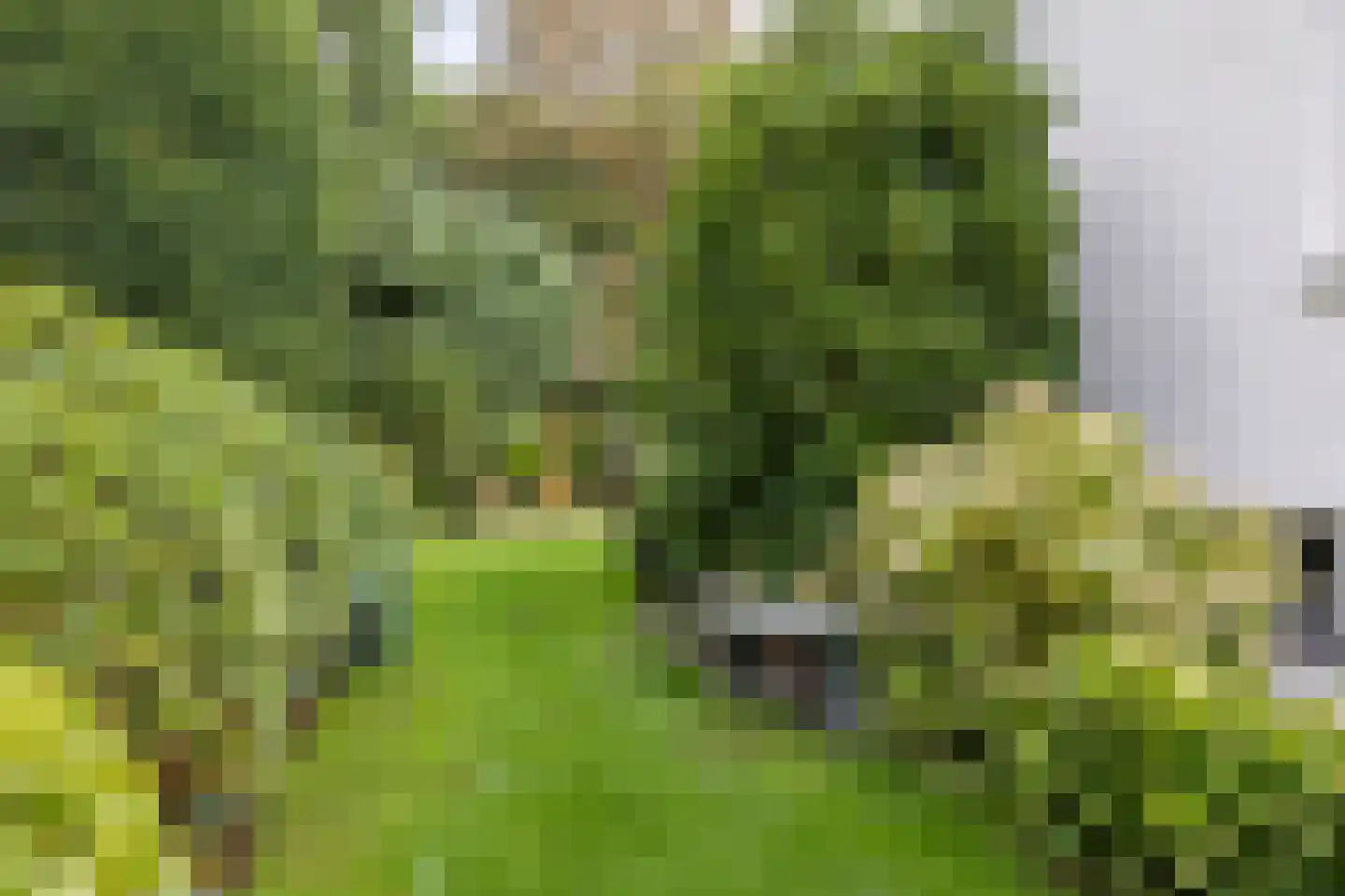 De Reek 5 Veldhoven thumbnail 40