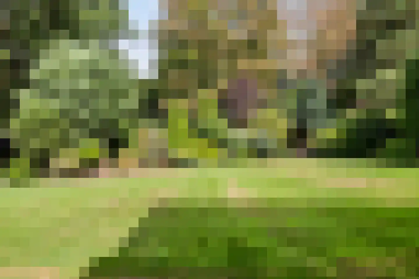 De Reek 5 Veldhoven thumbnail 43