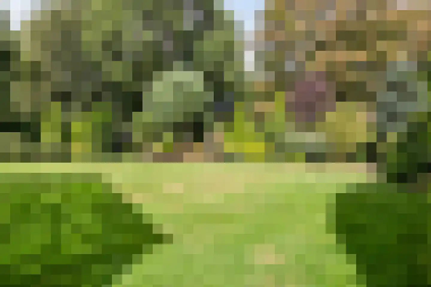 De Reek 5 Veldhoven thumbnail 44