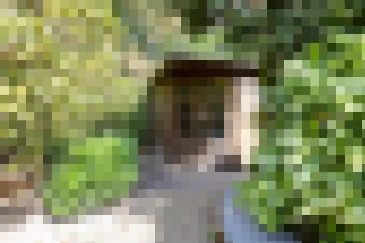 De Reek 5 Veldhoven thumbnail 45