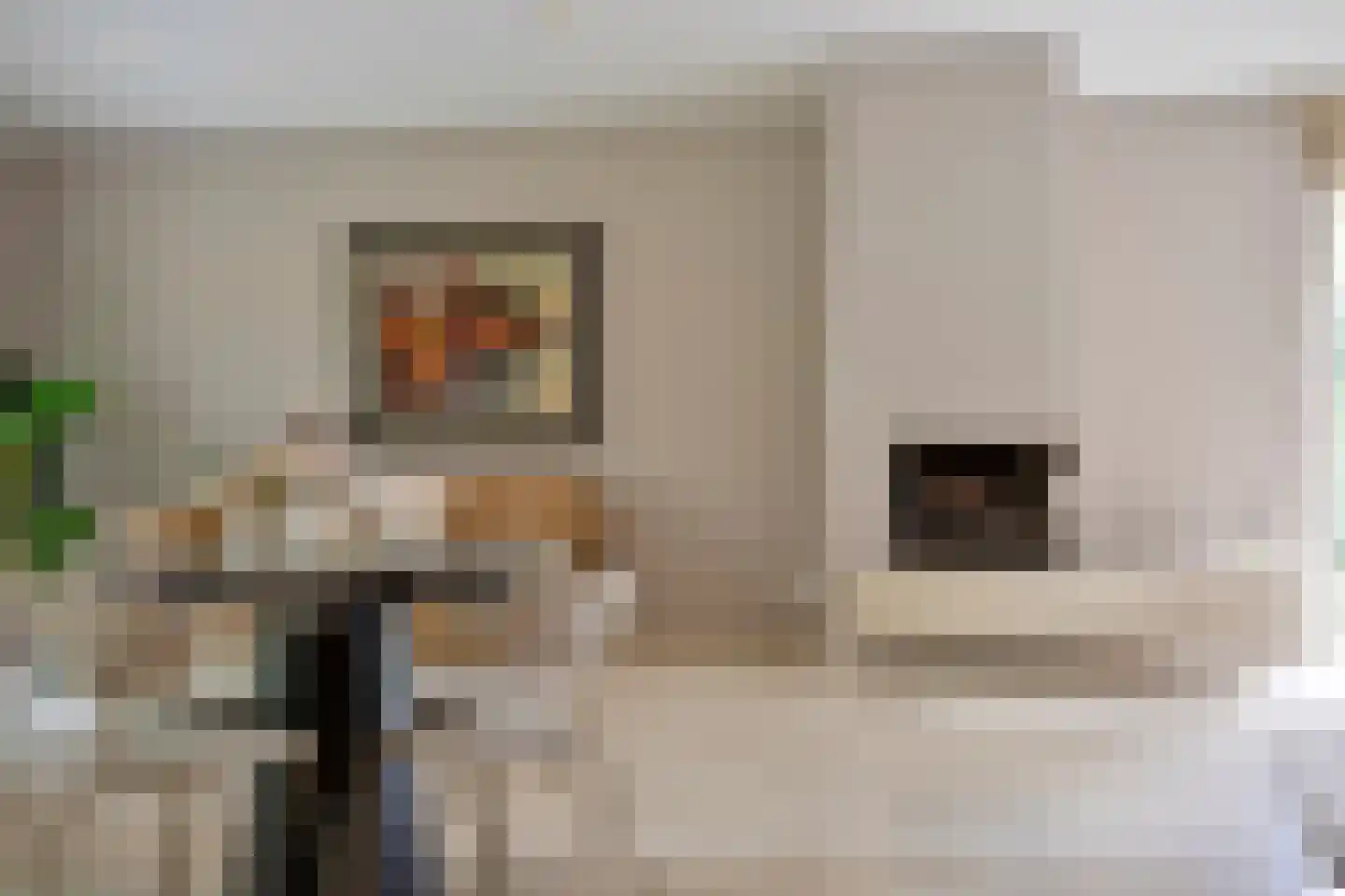 De Reek 5 Veldhoven thumbnail 9