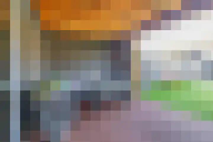 de Reep 4 Reusel thumbnail 24