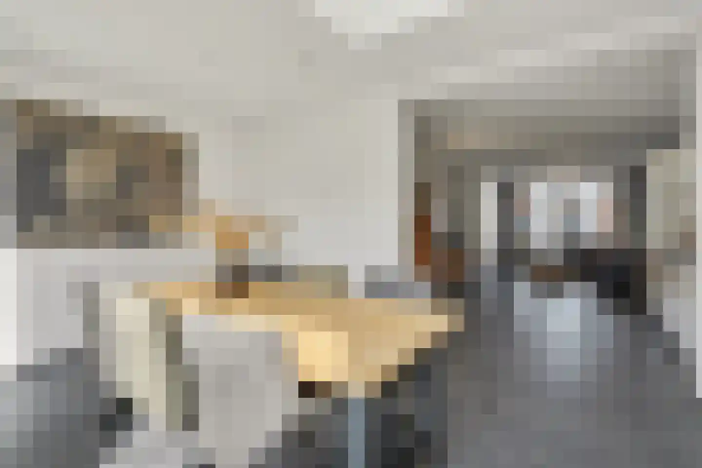 de Reep 6 Reusel thumbnail 16