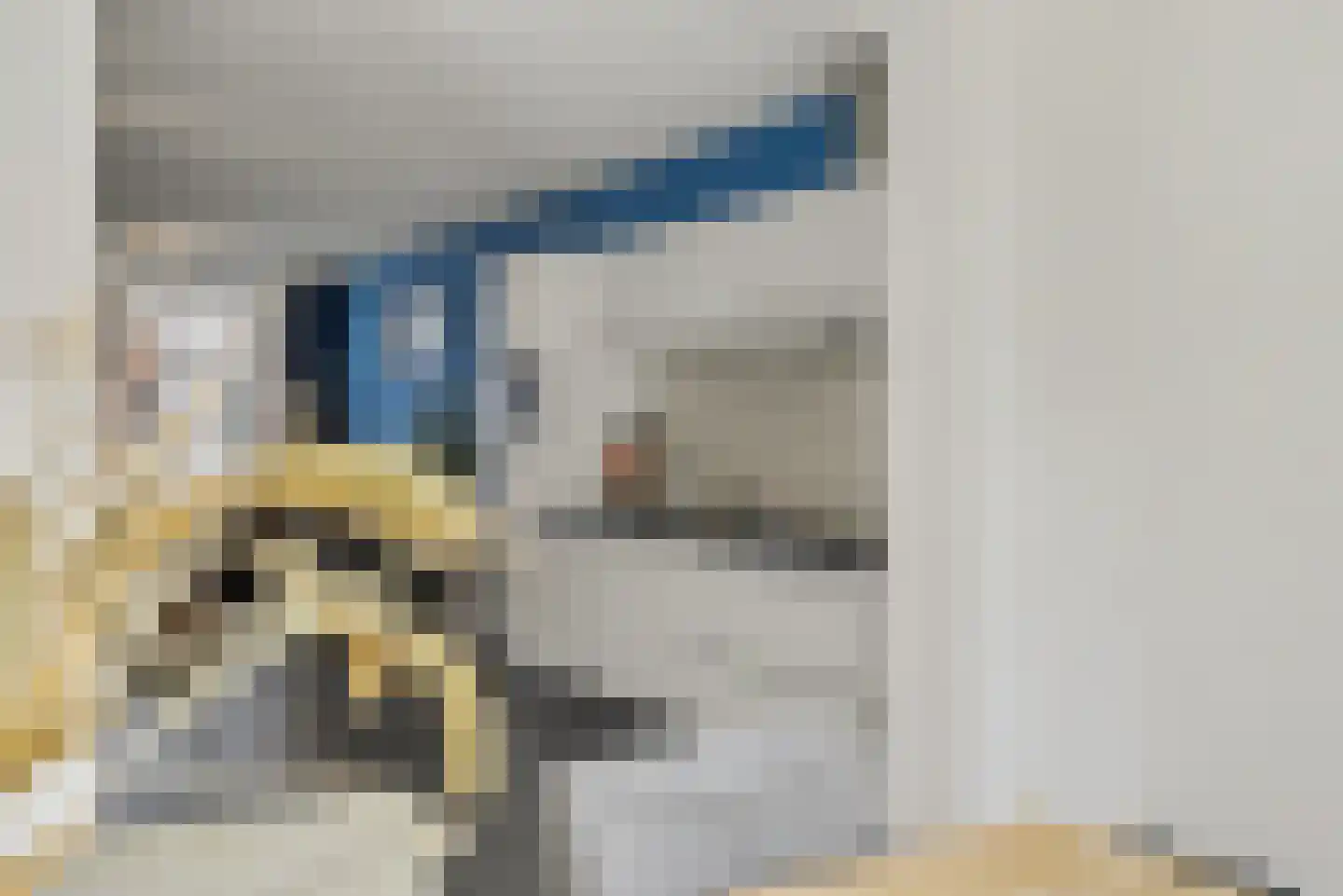de Reep 6 Reusel thumbnail 20
