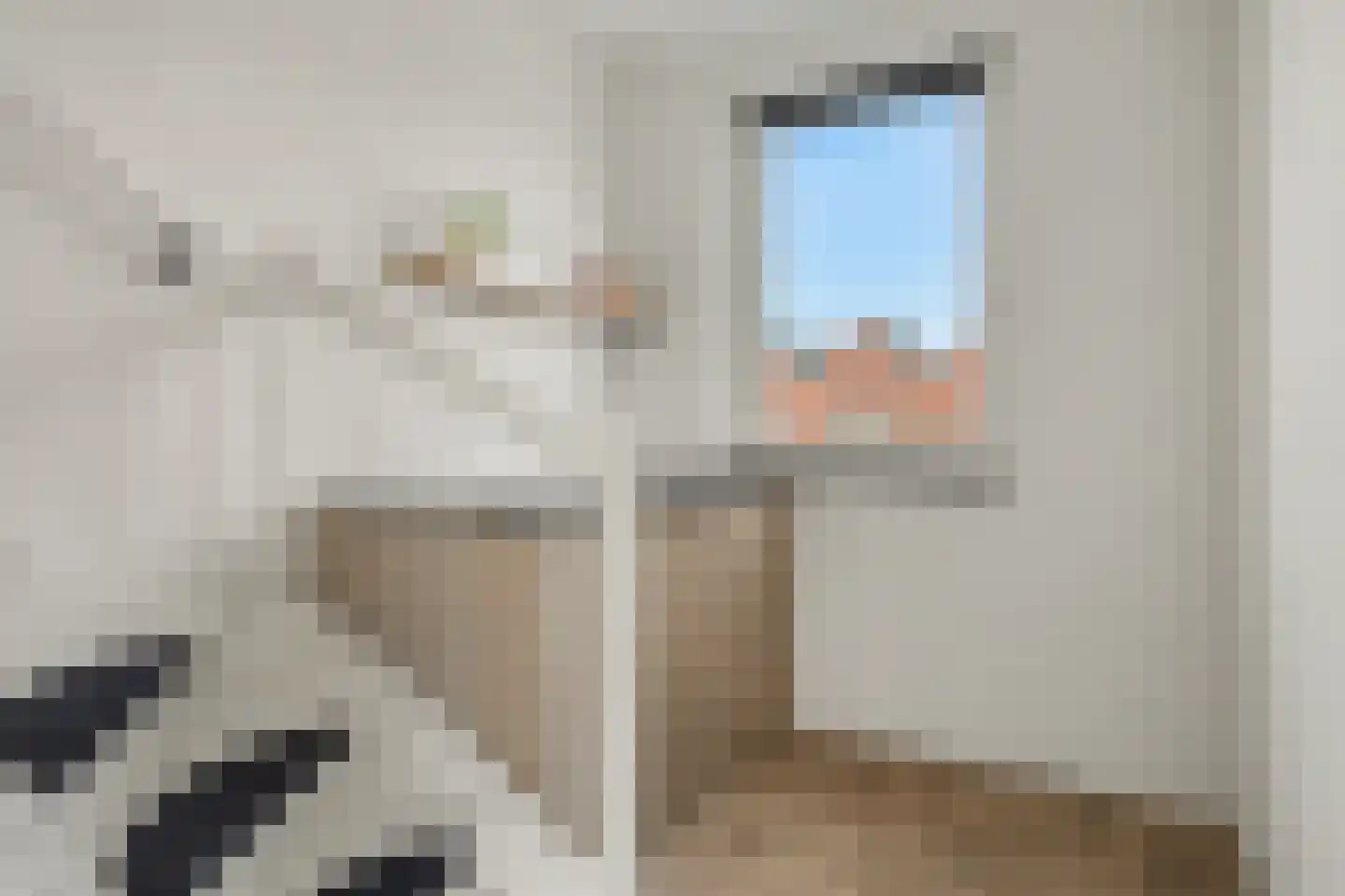de Reep 6 Reusel thumbnail 22