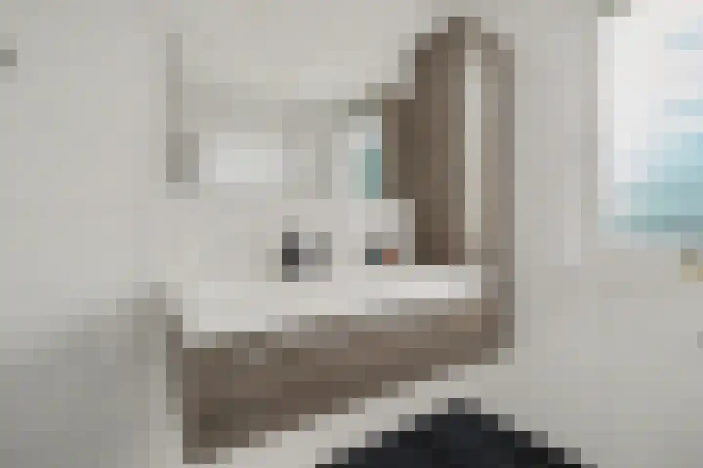 de Reep 6 Reusel thumbnail 28
