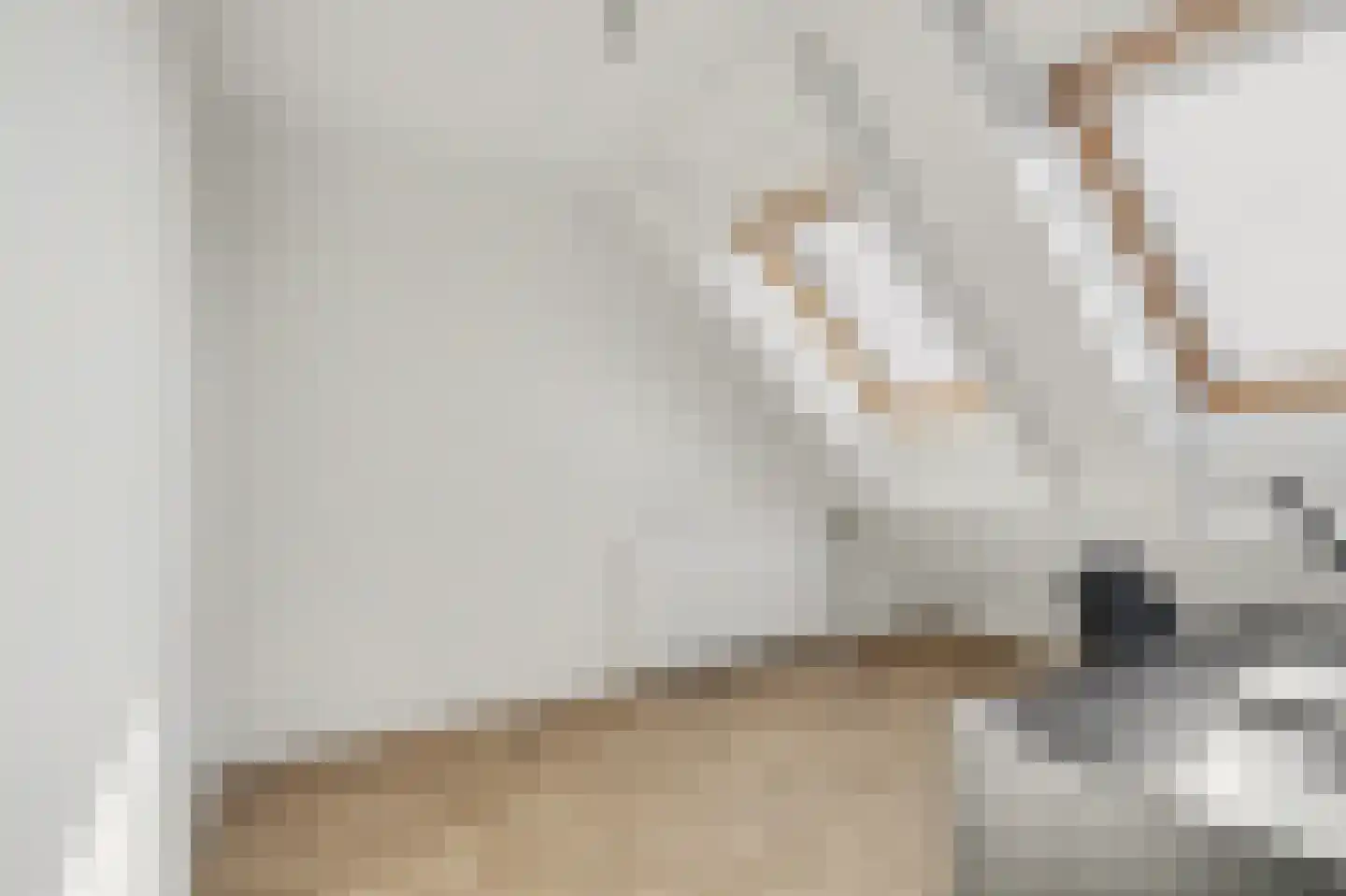 de Reep 6 Reusel thumbnail 33