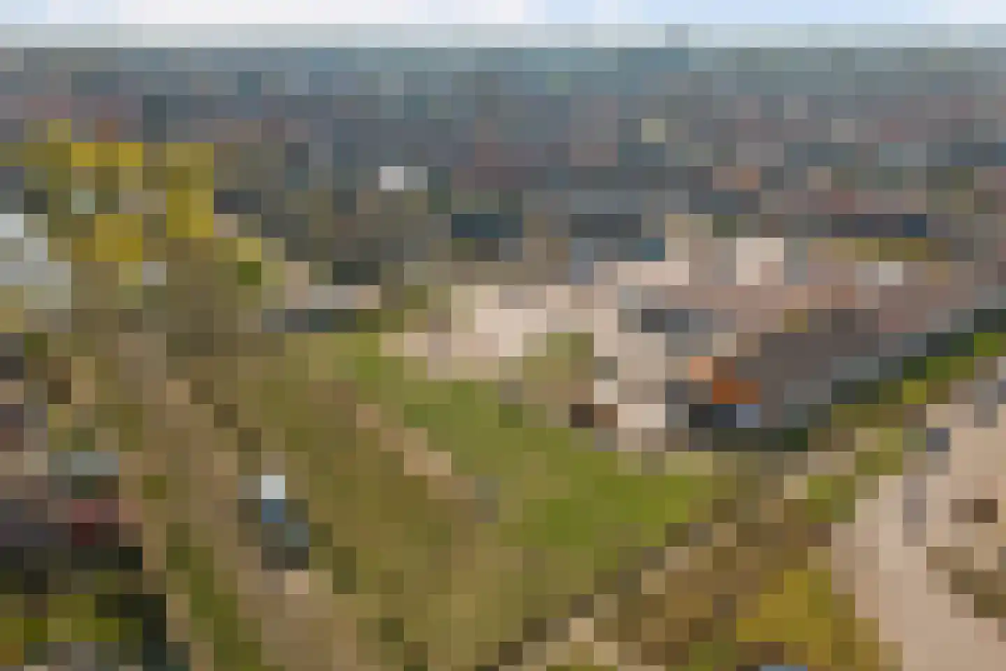 de Reep 6 Reusel thumbnail 44