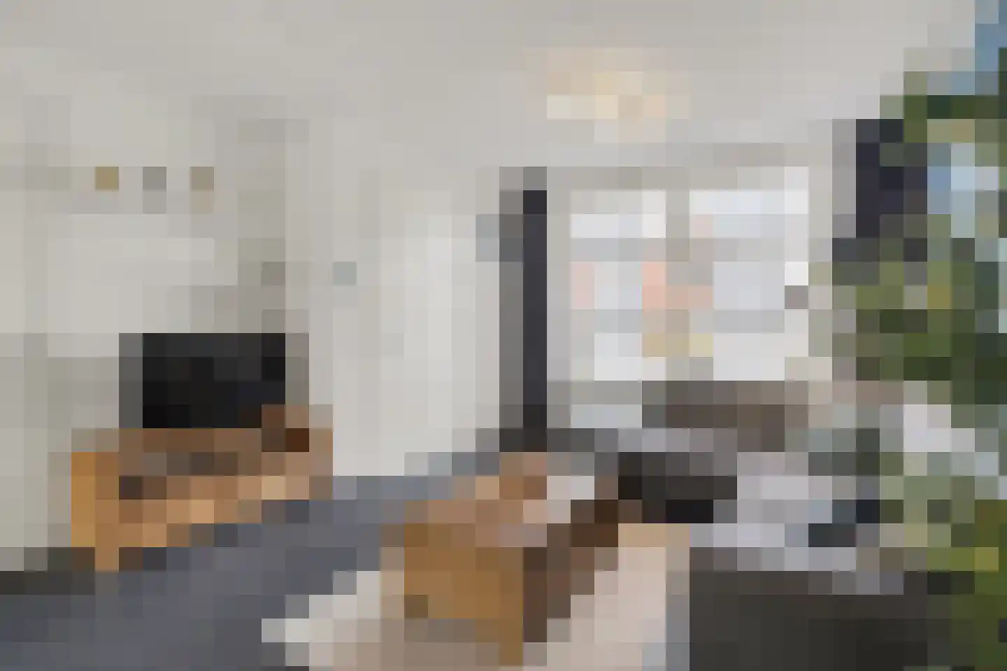 de Reep 6 Reusel thumbnail 7