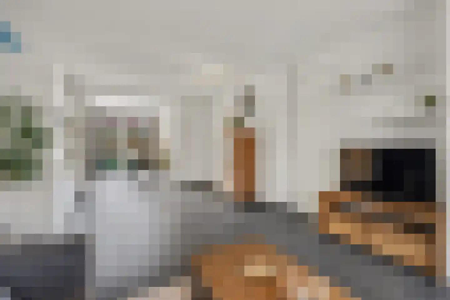 de Reep 6 Reusel thumbnail 9