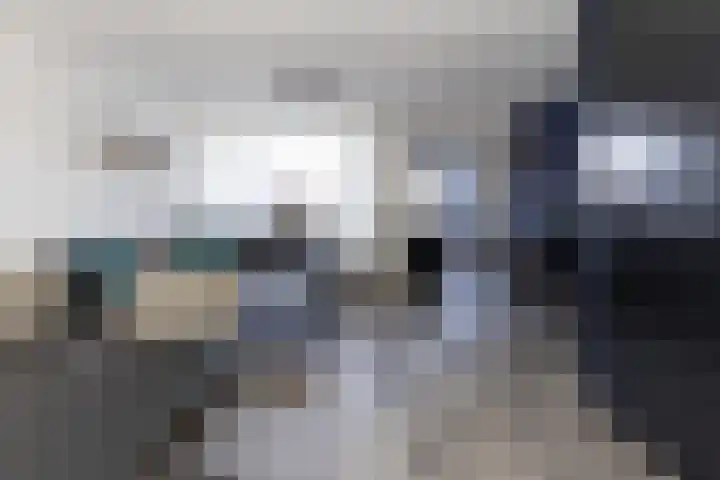 de Reest 4 Hattem thumbnail 11