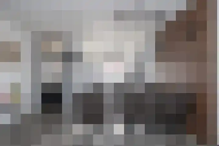 de Reest 4 Hattem thumbnail 12