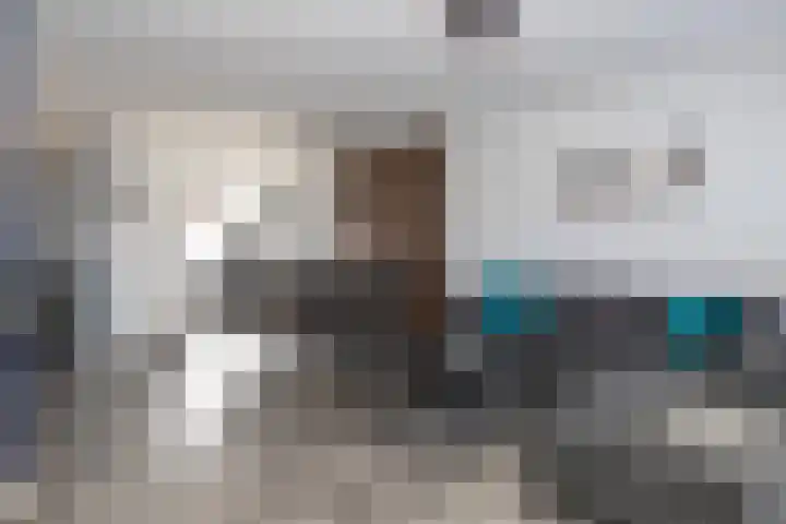 de Reest 4 Hattem thumbnail 13