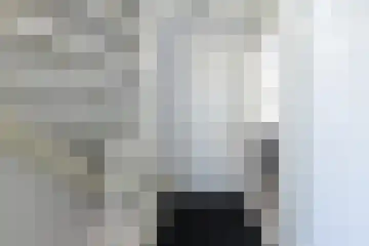 de Reest 4 Hattem thumbnail 16