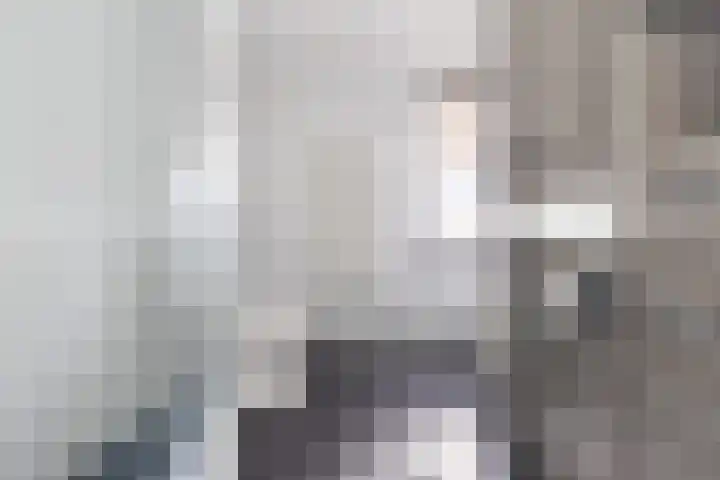 de Reest 4 Hattem thumbnail 17
