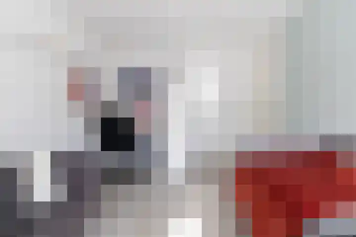 de Reest 4 Hattem thumbnail 20
