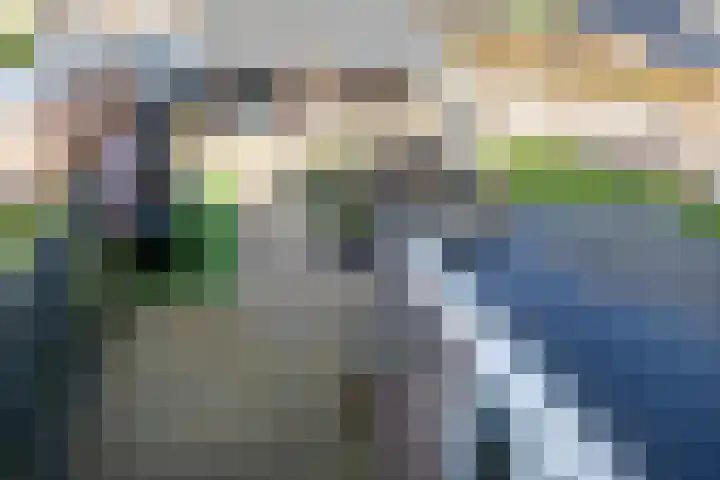 de Reest 4 Hattem thumbnail 22