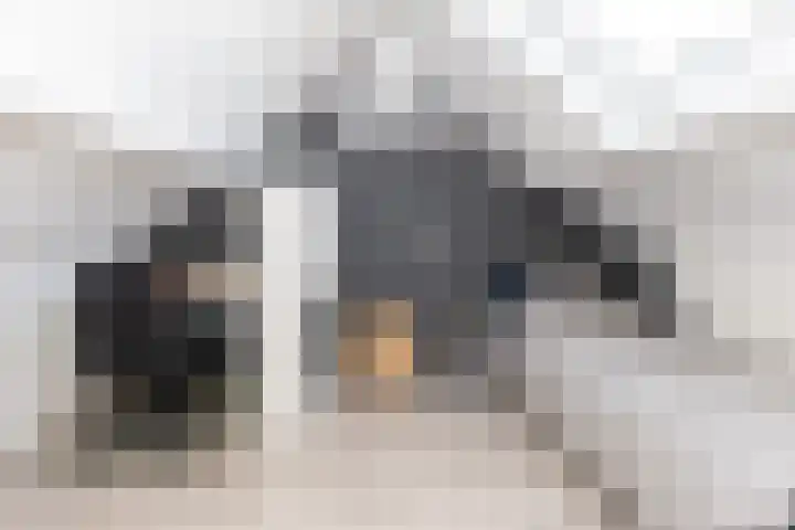 de Reest 4 Hattem thumbnail 25