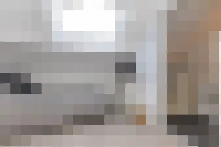 de Reest 4 Hattem thumbnail 26