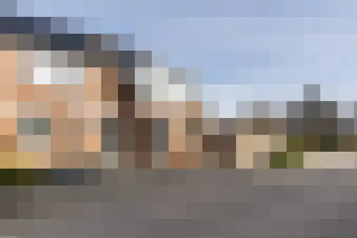 de Reest 4 Hattem thumbnail 4