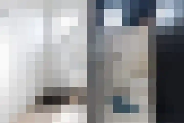 de Reest 4 Hattem thumbnail 5